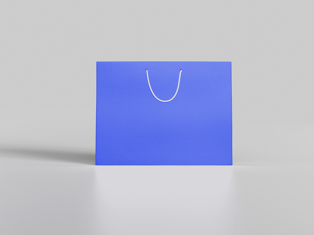 Blue Art Printed Paper Shopping Bag With Rope Ribbon Handle Gift Packaging
